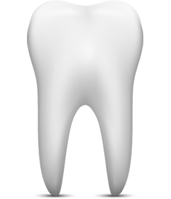 Tooth illustration