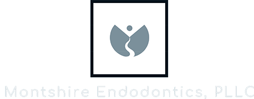 Link to Montshire Endodontics, PLLC home page